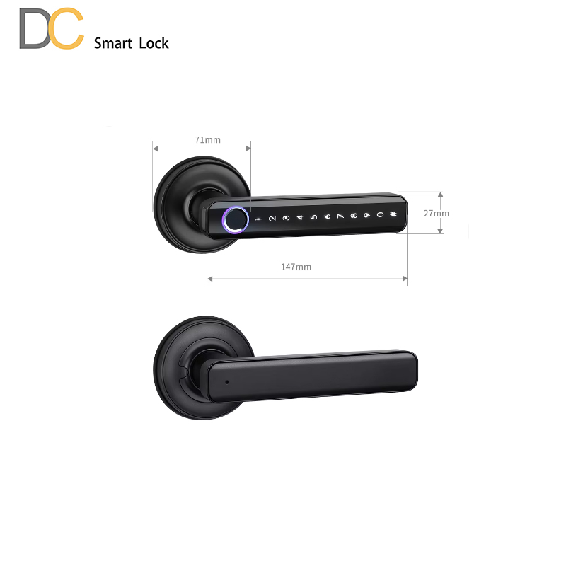 H168 Lever Handle Bluetooth Locks
