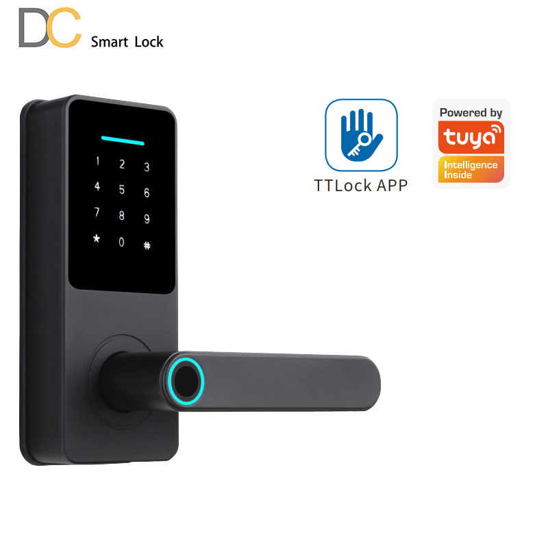 Smart Handle Lock